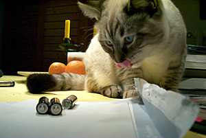 le chat lécheur